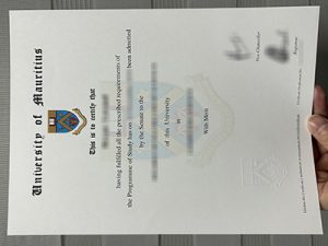 University of Mauritius diploma