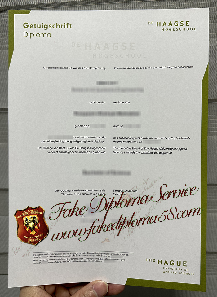 De Haagse Hogeschool degree