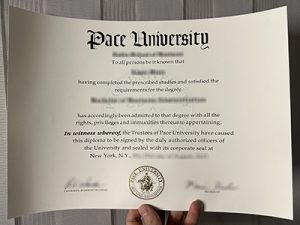 Pace University degree