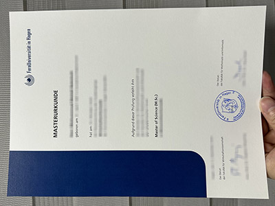 FernUniversitat in Hagen diploma