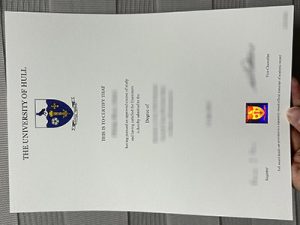 University of Hull degree