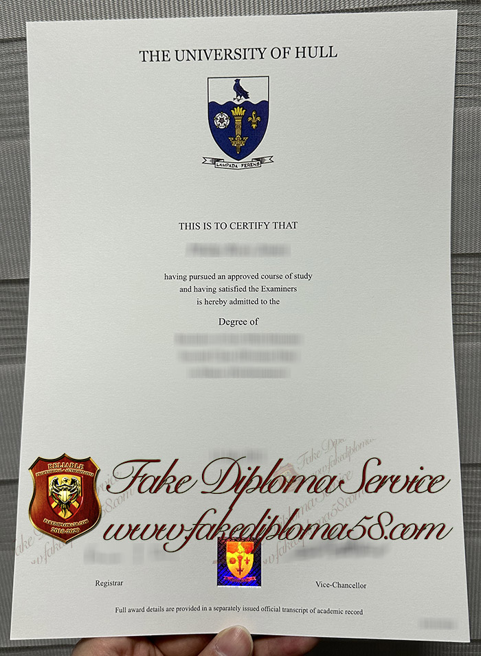 University of Hull degree
