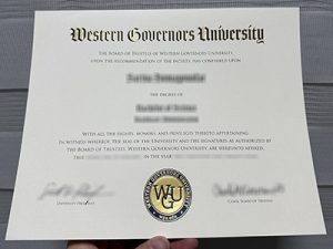WGU degree