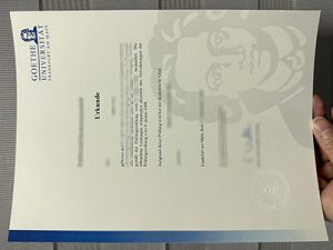 Goethe University Frankfurt diploma