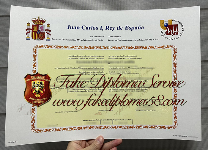 Universidad Miguel Hernández diploma
