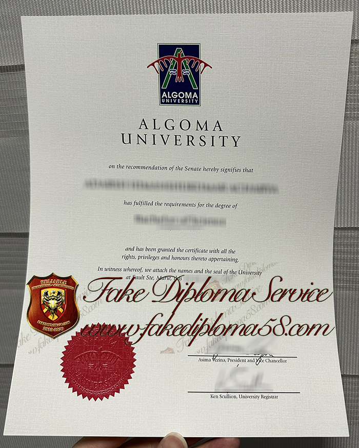 Algoma University degree