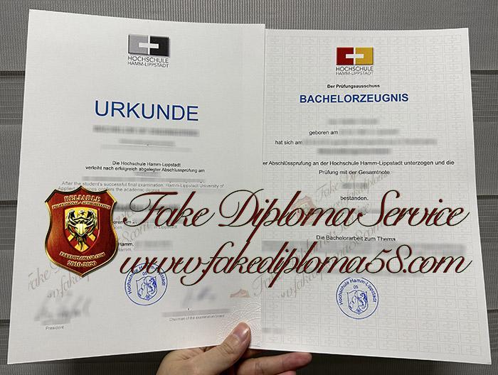 Hochschule Hamm-Lippstadt Urkunde