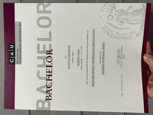 Kiel University diploma