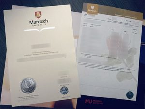 Murdoch University diploma and transcript