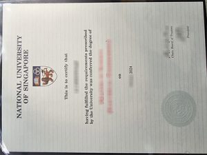 NUS degree