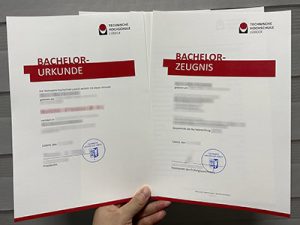 Technische Hochschule Lübeck diploma