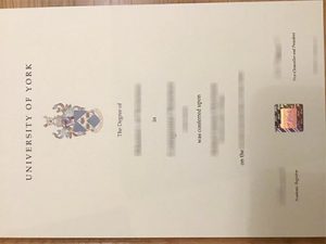 University of York degree
