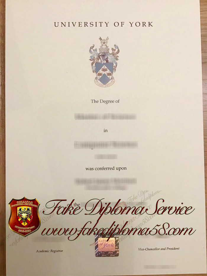 University of York degree
