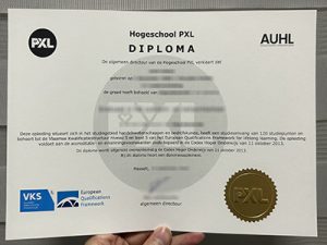 Hogeschool PXL diploma