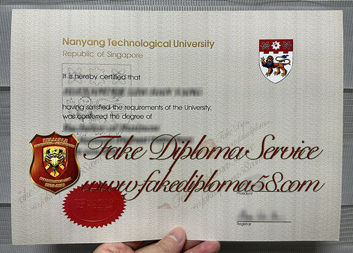 Nanyang Technological University degree