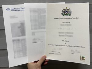 QMUL Midecine degree and transcript