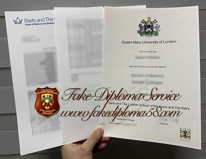 QMUL Midecine degree and transcript