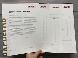 Avans Hogeschool diploma and transcript