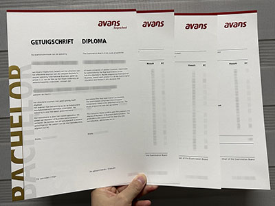 How to buy a fake Avans Hogeschool diploma and transcript online?