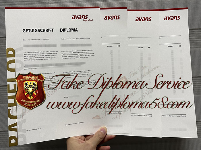 Avans Hogeschool diploma and transcript