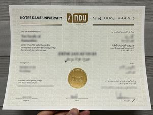 NDU diploma