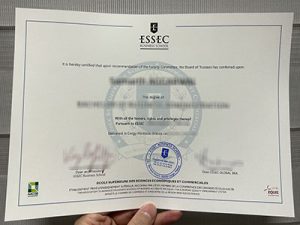 ESSEC Business School diploma