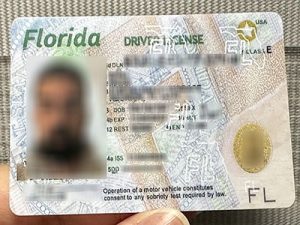 Florida Driver License
