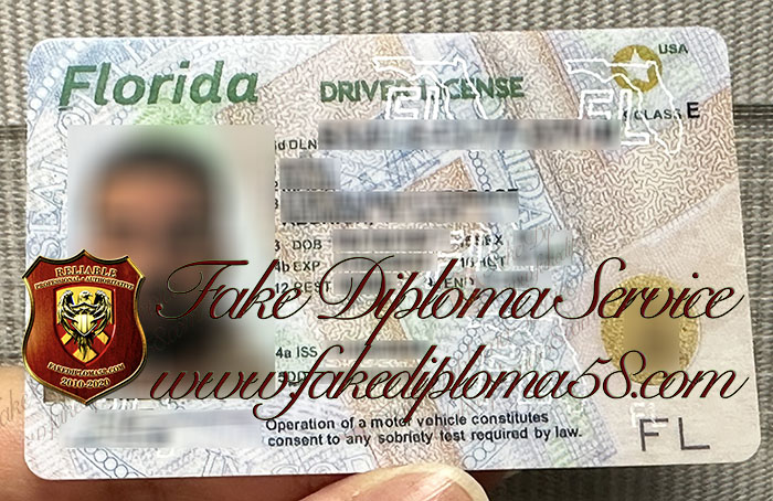 Florida Driver License