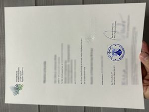 Hochschule Kaiserslautern diploma