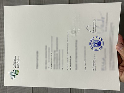 How much does to order a fake Hochschule Kaiserslautern diploma?