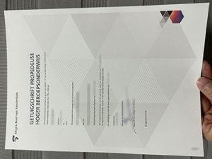 Hogeschool van Amsterdam diploma