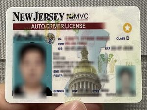 New Jersey Auto Driver License