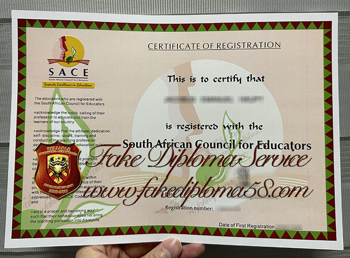 SACE diploma