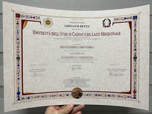 Università degli Studi di Cassino e del Lazio Meridionale diploma
