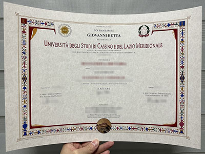 Obtain a Università degli Studi di Cassino e del Lazio Meridionale diploma .
