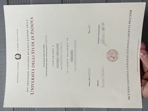 Università degli Studi di Padova diploma