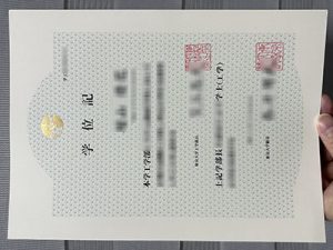 University of Tokyo diploma