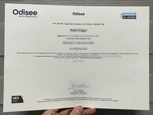 Odisee hogeschool diploma