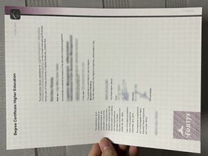 Fontys diploma
