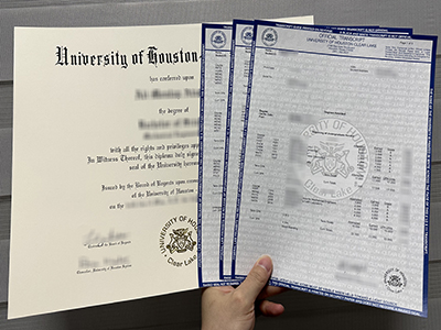 Free sample of University of Houston–Clear Lake diploma and transcript.