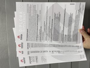Erasmushogeschool Brussel transcript