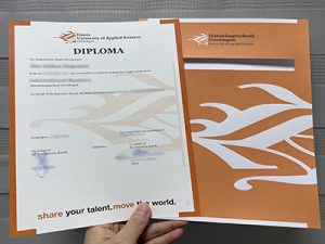Hanzehogeschool Groningen diploma