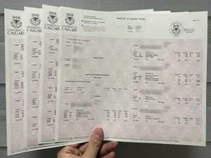 University of Calgary transcript