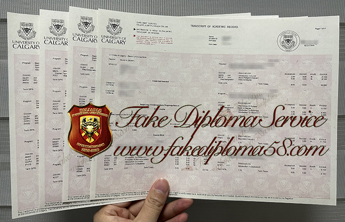 University of Calgary transcript
