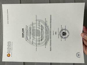 Hochschule Burgenland diploma