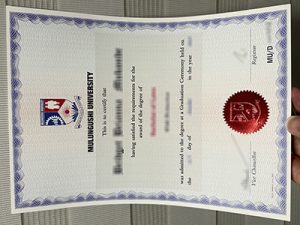 Mulungushi University diploma
