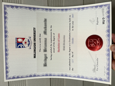 Mulungushi University diploma
