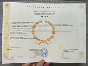 Universite Toulouse III - Paul Sabatier diploma