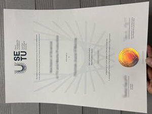 South East Technological University diploma